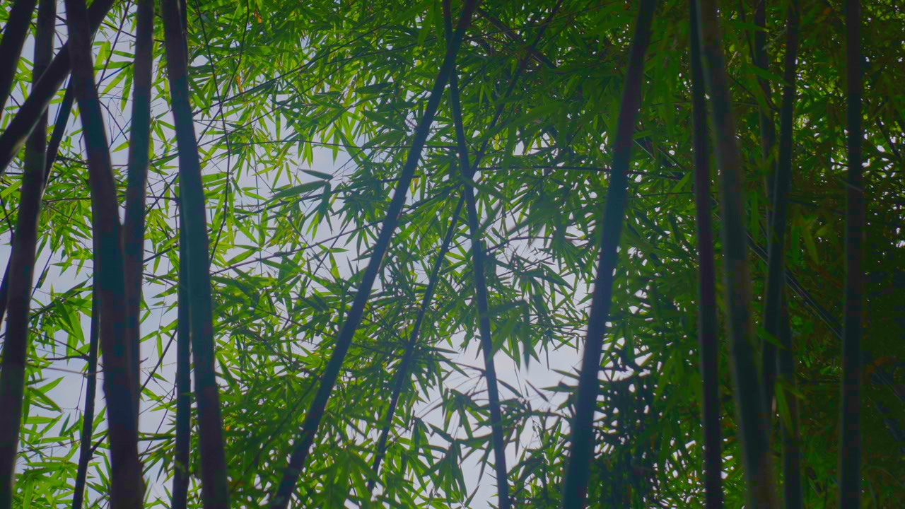 山不野，尝到世界本真